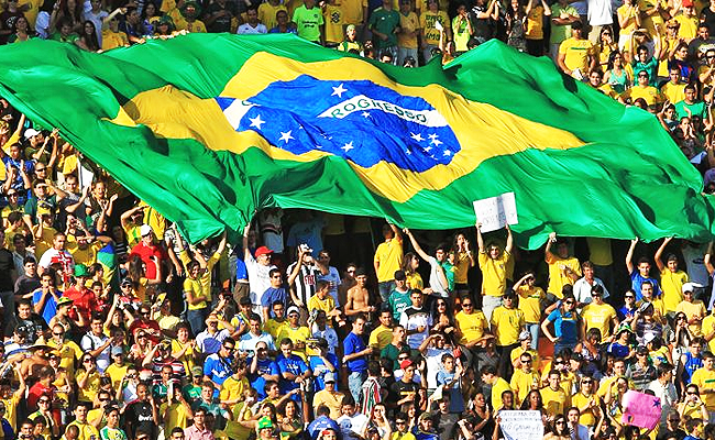 meu animal favorito: cachorro