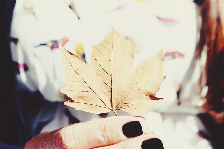 Aniversário de São Paulo